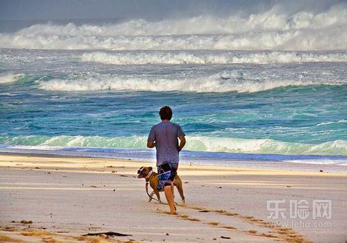 跑步右下腹痛是怎么回事,跑步右腹痛是什么原