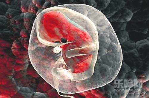 精子质量不好会导致胎停吗,精子质量差会影响