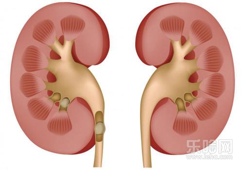肾功能衰竭早期症状,肾功能退化有什么症状,肾