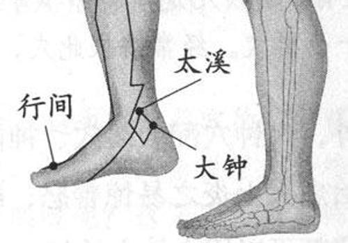 按哪个部位可以降压 以下穴位把你缓解高血压