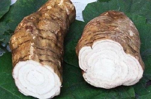 什么中药解酒最好最快,解酒的中药材有哪些