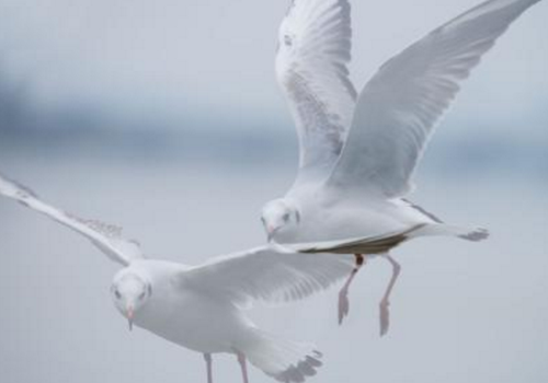 眼睛看东西重影是怎么回事 可能是重大疾病,需