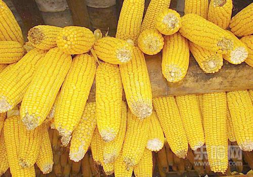 尿酸高饮食要注意什么,尿酸高饮食注意事项-乐