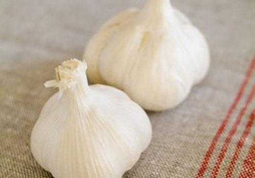 大蒜冻了还能吃吗