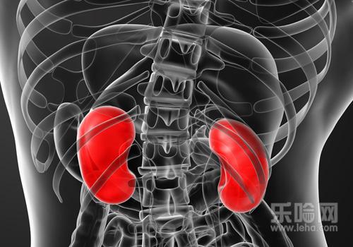 尿酸高是肾功能不好吗,尿酸高与肾功能的关系