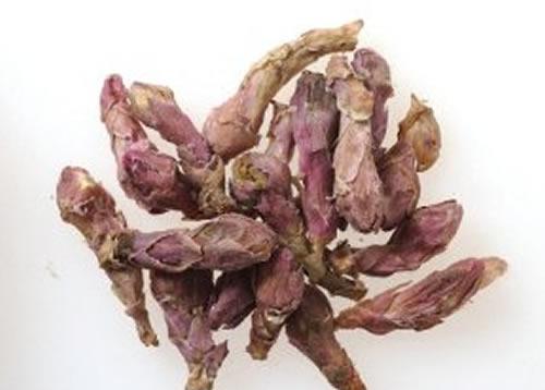 款冬花的功效与作用,款冬花的功效与作用及禁