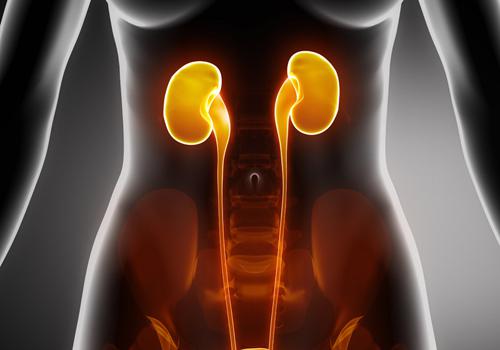 尿酸高是肾功能不好吗,尿酸高与肾功能的关系