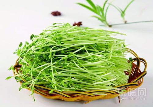 尿酸高不能吃什么蔬菜,尿酸高什么蔬菜不能吃