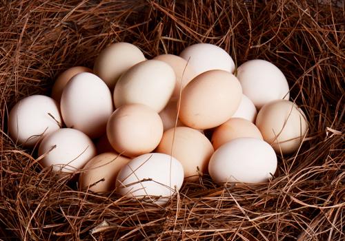 开水煮鸡蛋需要多长时间能熟,鸡蛋冷水下锅煮