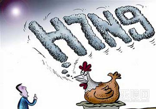 禽流感有没有潜伏期,禽流感的潜伏期是多久-乐