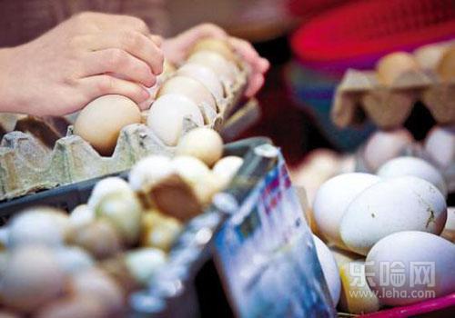 禽流感期间能吃鸡蛋吗,禽流感期间可以吃鸡蛋