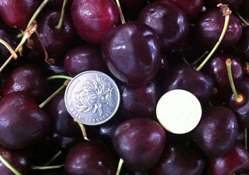 车厘子吃多了会怎样 上火、湿气过重和溃疡!