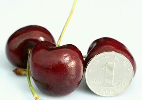 车厘子吃多了会怎样 上火、湿气过重和溃疡!