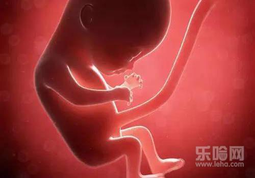 女生为什么不能养泰迪,女人不能养泰迪的原因