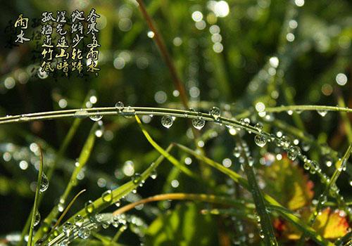 2018年雨水是几月几号,节气气候怎么样