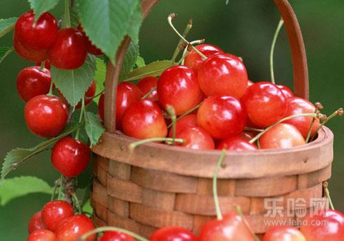 春天应季水果有哪些,春天当季水果-乐哈健康网