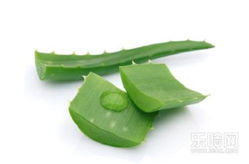 芦荟涂在脸上要洗吗,芦荟涂脸多久洗掉最好-乐