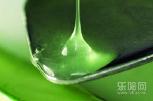 芦荟过敏的症状,脸上过敏能擦芦荟胶吗-乐哈健