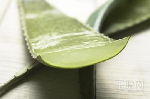芦荟过敏的症状,脸上过敏能擦芦荟胶吗-乐哈健