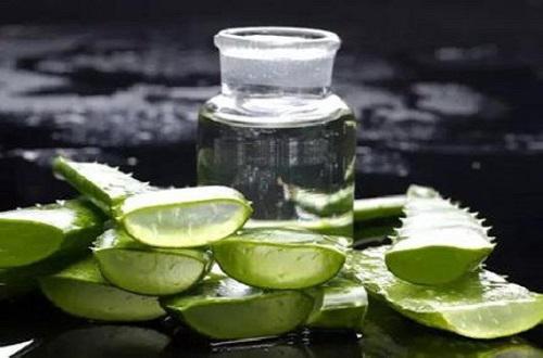 芦荟熬水喝有什么好处,芦荟的食用价值-乐哈健