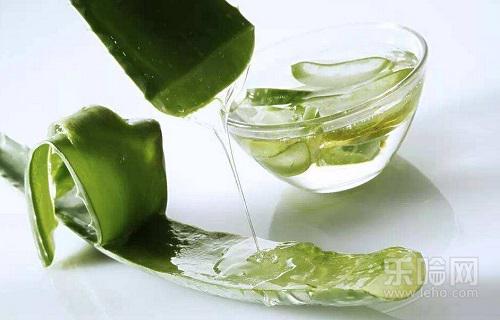 吃芦荟能减肥吗,芦荟怎么吃减肥-乐哈健康网