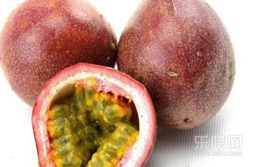 吃百香果要吐籽吗 百香果籽不嚼能消化吗-乐哈