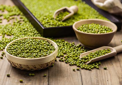 绿豆水怎么煮才能解毒