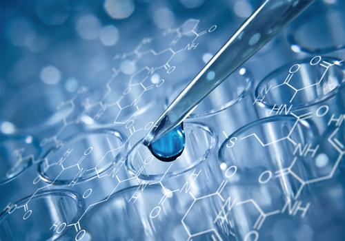 被家狗咬不打针是常事做法正确吗