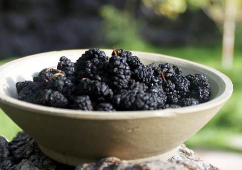 桑葚干泡水喝的功效和作用 滋阴补血、清热解