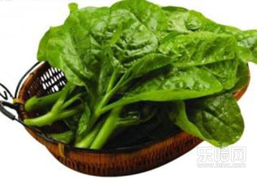 能吃的野菜有哪些,孕妇可以吃蒲公英野菜吗-乐