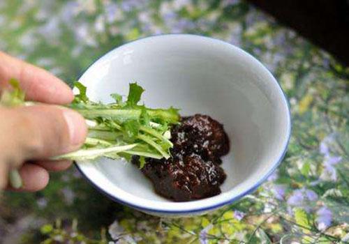 苦菜可以生吃吗,苦菜生吃会中毒吗-乐哈健康网