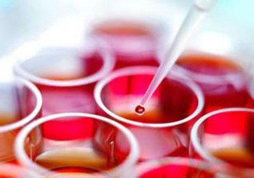 抽血前一天能喝酒吗,抽血前喝酒有什么影响-乐