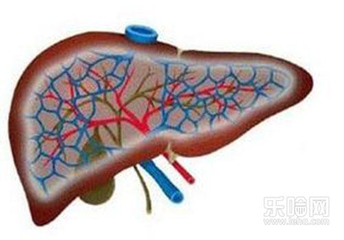 抽血前一天能喝酒吗,抽血前喝酒有什么影响-乐