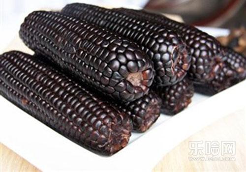 黑玉米的功效与作用及饮食禁忌,黑玉米的营养