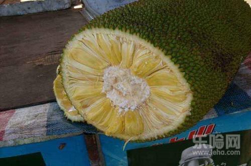 萝蜜剥开后怎么保存,菠萝蜜剥开后能放多久-乐