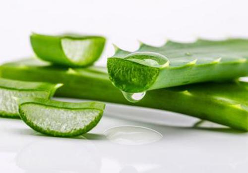 皮肤过敏抹芦荟胶可以吗,皮肤过敏可以用芦荟