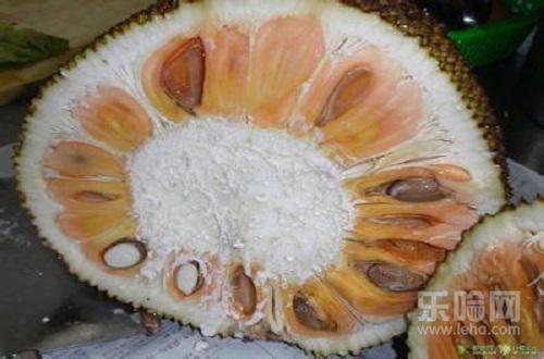 菠萝蜜没熟打开了怎么办,菠萝蜜切开没熟怎么