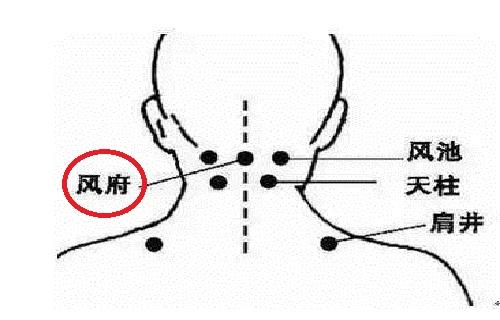 风府的准确位置图视频风府的功效与作用