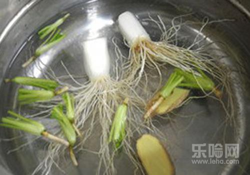 孕妇风寒感冒偏方大全,怀孕风寒感冒有什么偏