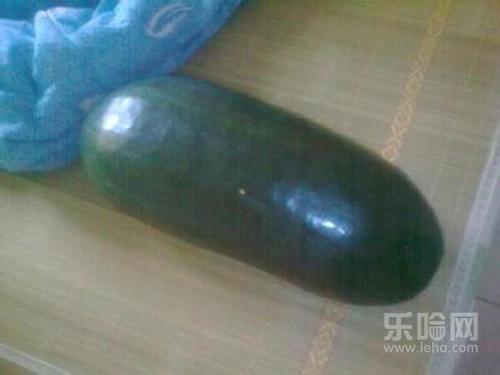 冬瓜皮煮水可以减肥吗,冬瓜皮煮水能减肥吗-乐