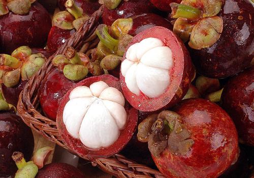 吃山竹会便秘吗,山竹会便秘吗-乐哈健康网