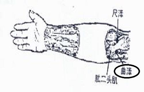 曲泽的准确位置视频 曲泽的作用与好处