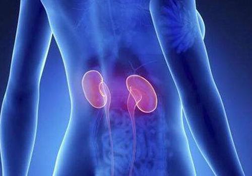 肾脏不好引起的高血压,肾脏不好会高血压吗-乐