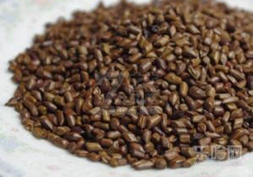 决明子泡水隔夜能喝吗,决明子泡水过夜能喝吗