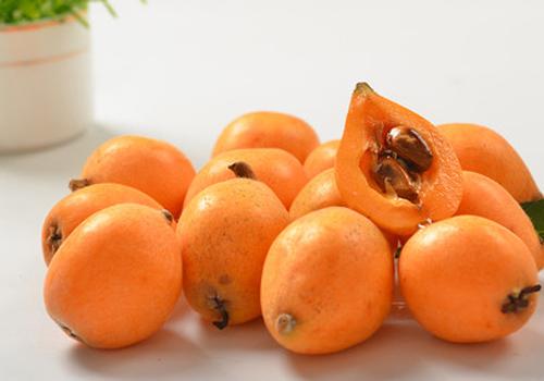 枇杷是春天的水果吗