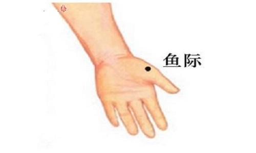 鱼际的准确位置图和作用,怎么按摩鱼际