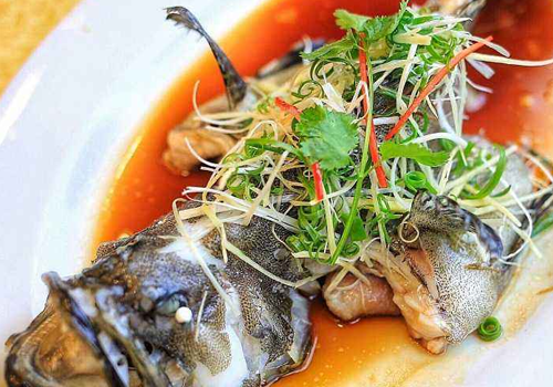 得了荨麻疹可以吃鱼吗