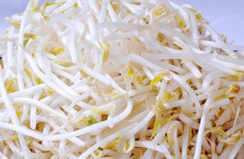 黄豆芽为什么会变绿,黄豆芽发绿是怎么回事-乐