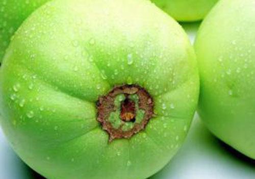 香瓜哺乳期能吃吗,哺乳期可以吃香瓜吗-乐哈健