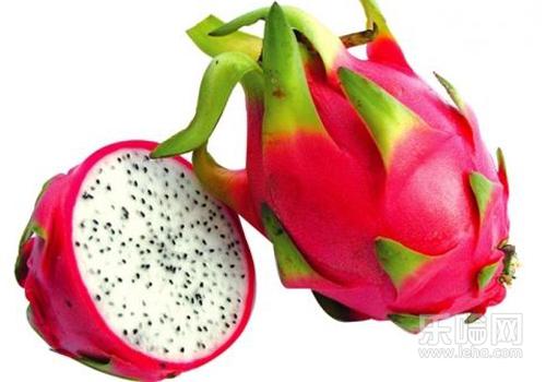 上火便秘吃什么水果好,上火便秘适合吃什么水